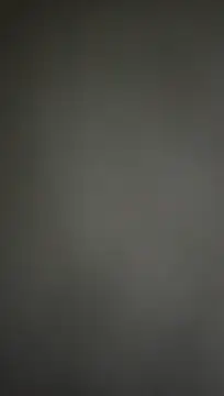 Snapshot of Nirvana-- chatting on February 2025 03:27:02 PM Nirvana-- online show from February 2025 03:27:02 PM