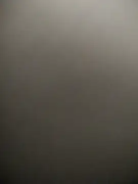 Snapshot of Nirvana-- chatting on March 2025 05:35:02 AM Nirvana-- online show from March 2025 05:35:02 AM