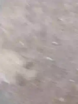 dheck2020 online show from January 2025 11:45:02 PM