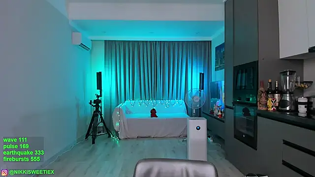 Snapshot of nikkisweetie chatting on December 2024 06:27:01 AM nikkisweetie online show from December 2024 06:27:01 AM