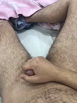 Snapshot of bulpof chatting on February 2026 06:52:01 PM bulpof online show from February 2026 06:52:01 PM