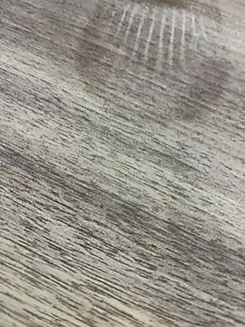 Snapshot of bulpof chatting on April 2026 05:32:01 PM bulpof online show from April 2026 05:32:01 PM