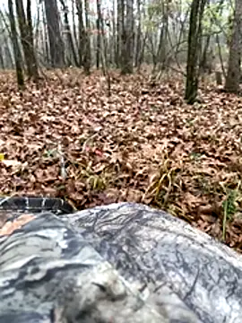 Themechanic420 online show from December 2025 10:26:01 PM