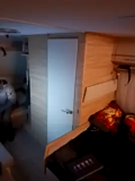 Ebinator666 online show from November 2025 10:19:01 PM