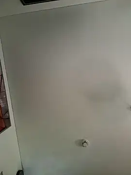 Snapshot of Toyjungee chatting on December 2025 12:33:02 PM Toyjungee online show from December 2025 12:33:02 PM