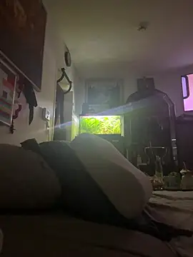 Snapshot of Toyjungee chatting on January 2026 08:08:02 AM Toyjungee online show from January 2026 08:08:02 AM