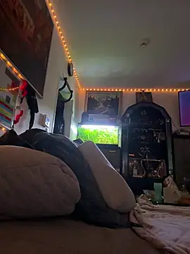 Snapshot of Toyjungee chatting on February 2026 08:08:02 AM Toyjungee online show from February 2026 08:08:02 AM