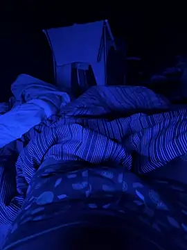 Snapshot of Nando chatting on February 2026 01:48:01 AM Nando online show from February 2026 01:48:01 AM