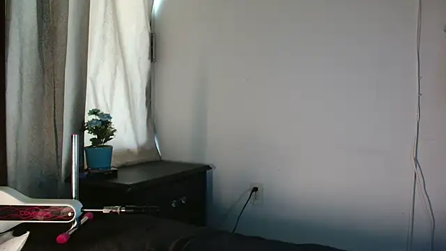 MINI Petite online show from July 2026 06:26:01 PM