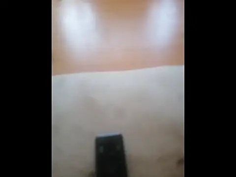 Happypotplants online show from December 2025 08:20:02 AM