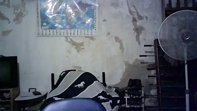 Snapshot of Emv2 chatting on November 2025 04:57:01 AM Emv2 online show from November 2025 04:57:01 AM