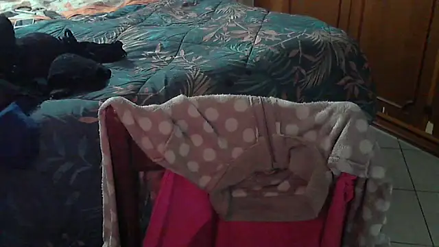 Snapshot of stellin chatting on February 2026 04:57:01 PM stellin online show from February 2026 04:57:01 PM