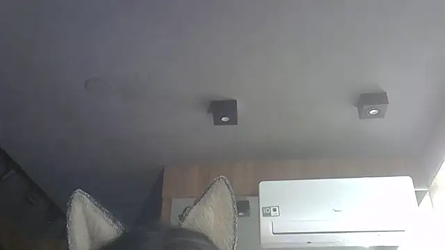 Skinny-Kitten online show from November 2025 03:47:01 PM