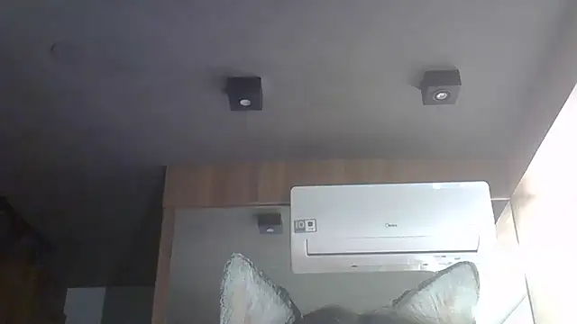 Skinny-Kitten online show from December 2025 02:50:01 AM