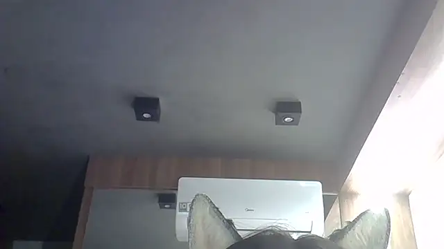 Skinny-Kitten online show from February 2026 02:45:01 AM