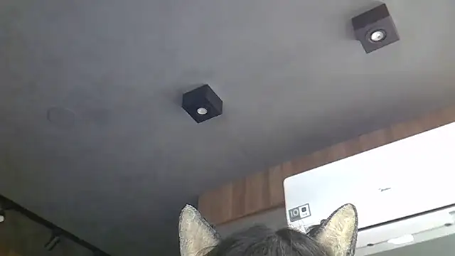 Skinny-Kitten online show from March 2026 05:24:01 AM