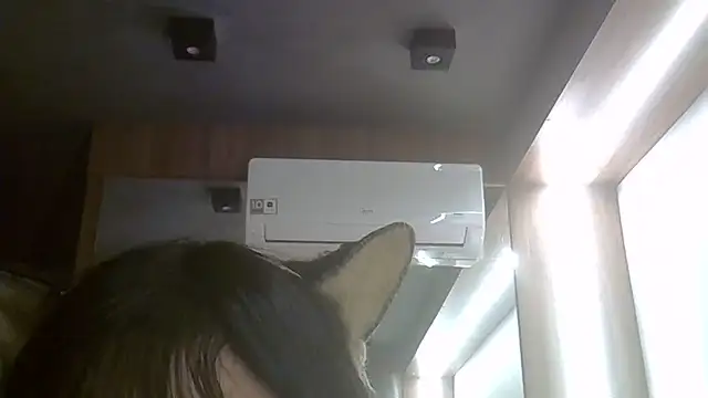 Snapshot of Skinny-Kitten chatting on June 2026 01:37:01 AM Skinny-Kitten online show from June 2026 01:37:01 AM
