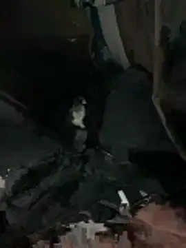 prekumstud online show from February 2026 11:43:02 AM