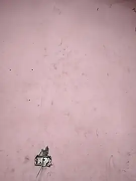 Snapshot of Sliced_Digit chatting on March 2025 10:41:02 PM Sliced Digit online show from March 2025 10:41:02 PM