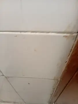 ManBlackhot online show from April 2026 02:25:01 PM