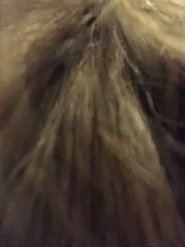  Sweet Love  online show from March 2026 01:00:01 PM