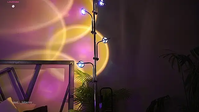 TataCoy online show from February 2026 04:07:02 PM