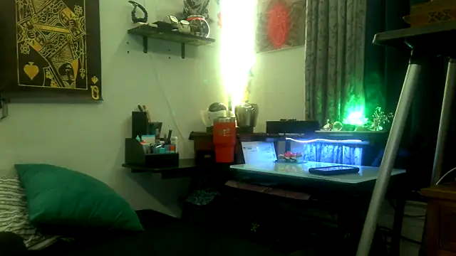 TheGAPEgatsby92 online show from January 2026 11:59:02 AM