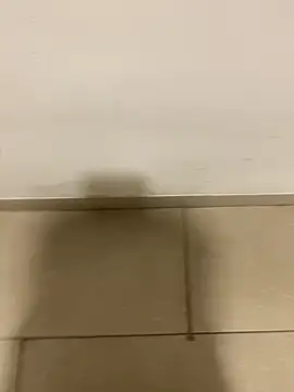 par 0111 online show from February 2026 06:31:01 AM