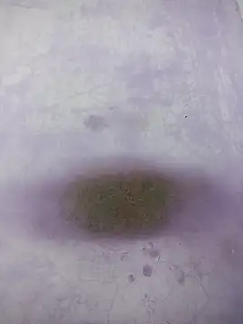 Snapshot of Kannadaboymanu chatting on March 2025 04:59:02 PM Kannadaboymanu online show from March 2025 04:59:02 PM