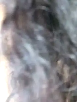 Doll Nepali online show from December 2024 01:34:02 AM