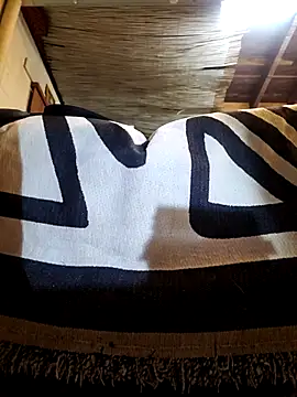 Snapshot of Daza67 chatting on February 2026 11:14:02 AM Daza67 online show from February 2026 11:14:02 AM