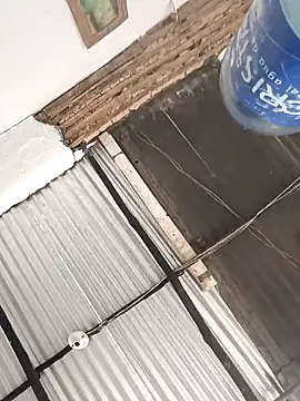 Snapshot of Yelly chatting on February 2026 03:40:02 PM Yelly online show from February 2026 03:40:02 PM