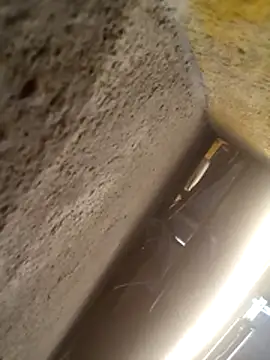 will1980 online show from February 2026 12:34:02 PM