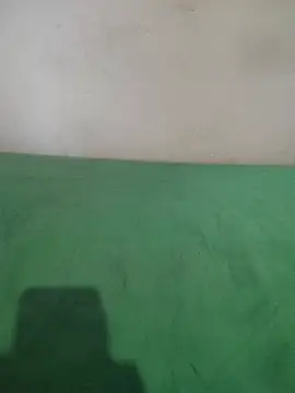  Scorpion  online show from February 2025 07:38:01 PM