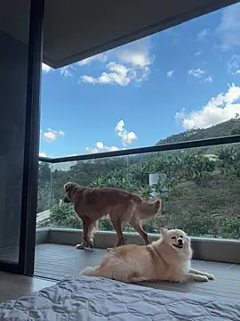 Snapshot of Helenbronwx chatting on January 2025 09:28:01 PM Helenbronwx online show from January 2025 09:28:01 PM