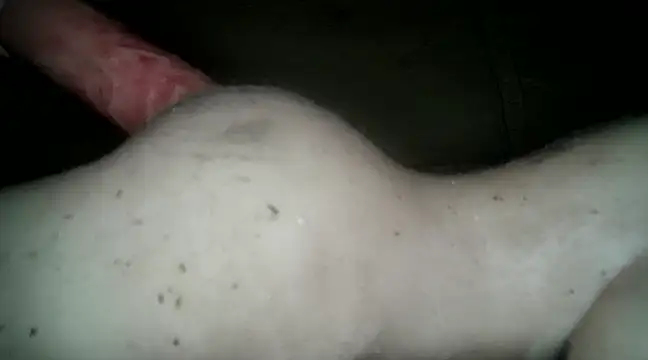 xxxlecram online show from March 2025 06:07:02 PM