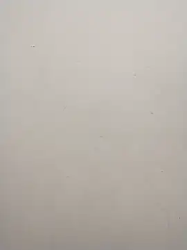 Shuttii 25 online show from December 2024 06:21:01 PM