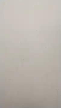 Shuttii 25 online show from January 2025 10:08:02 AM