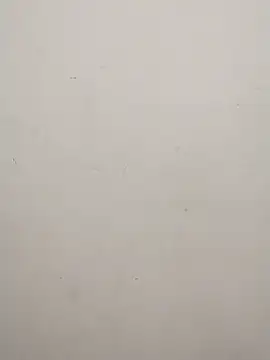 Shuttii 25 online show from February 2025 05:04:01 AM