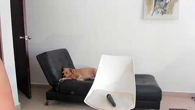 Snapshot of selene_king2 chatting on December 2024 06:17:01 PM selene king2 online show from December 2024 06:17:01 PM