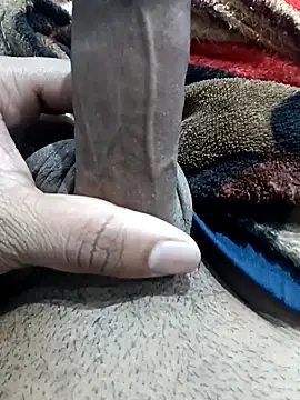 addu24 online show from March 2026 02:31:02 PM