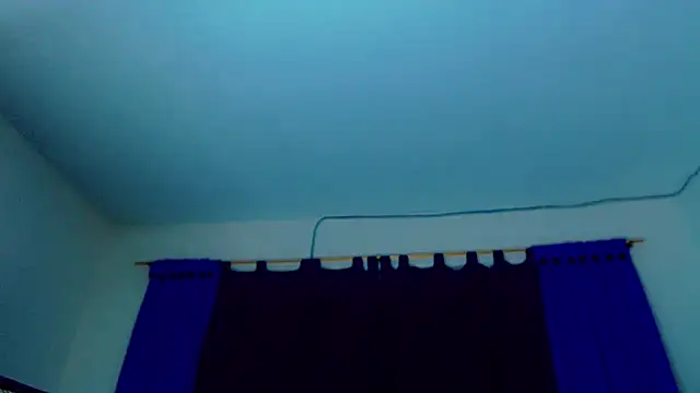 Pamela Dior online show from December 2025 05:26:01 AM