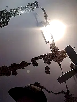 ColdVisitor online show from March 2025 06:38:02 AM