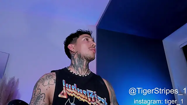 TigerStripes1  online show from February 2025 02:37:01 AM