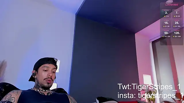 TigerStripes1  online show from March 2025 09:49:01 PM