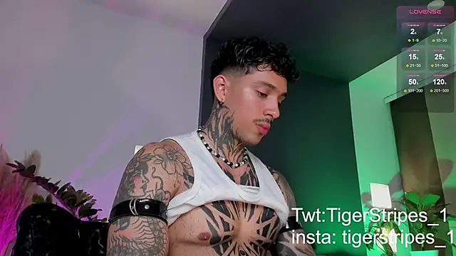 TigerStripes1  online show from March 2025 12:39:01 AM