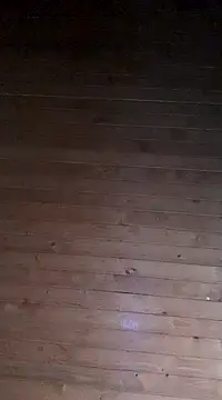 Snapshot of aliosa23 chatting on January 2025 02:37:01 PM aliosa23 online show from January 2025 02:37:01 PM