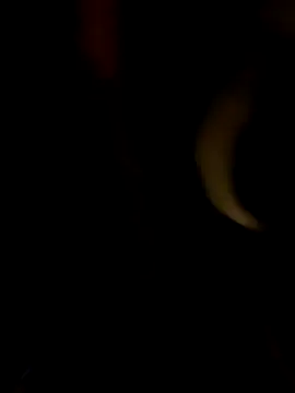 Snapshot of PIercingBoy38 chatting on October 2025 05:33:01 PM PIercingBoy38 online show from October 2025 05:33:01 PM