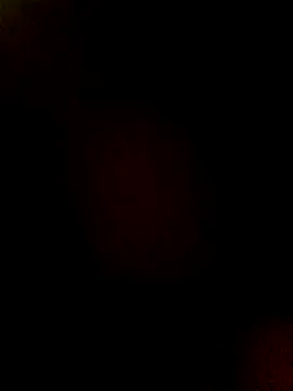 Snapshot of htopatudo chatting on March 2026 12:21:01 AM htopatudo online show from March 2026 12:21:01 AM