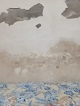 09punjabi online show from October 2025 11:03:01 AM